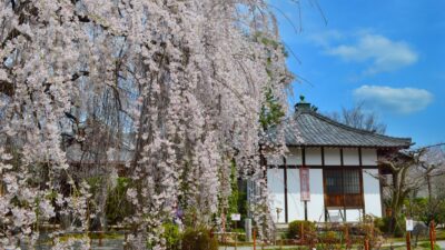 本満寺(ほんまんじ)